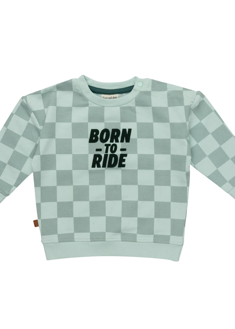 Frogs And Dogs Sweater Born To Ride