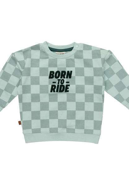 Frogs And Dogs Sweater Born To Ride