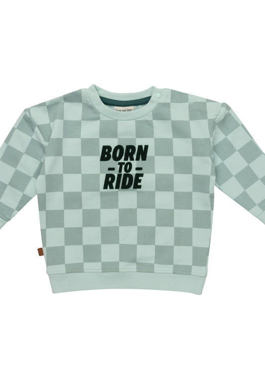 Frogs And Dogs Sweater Born To Ride