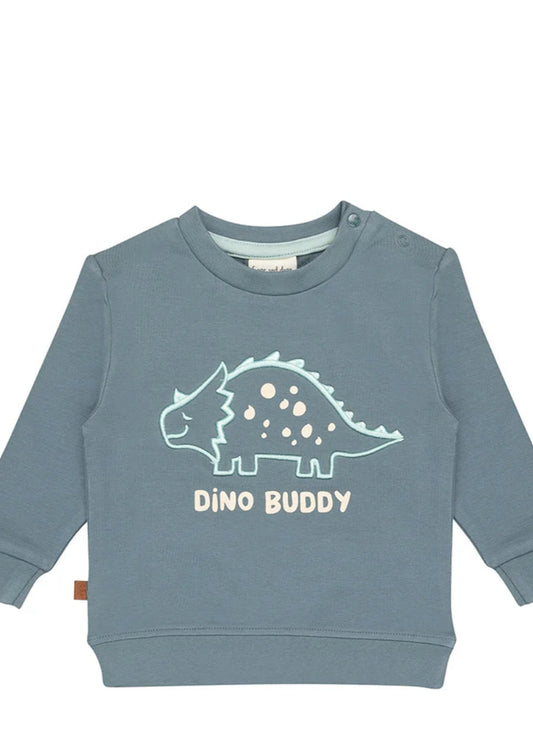 Dino Buddy Trui