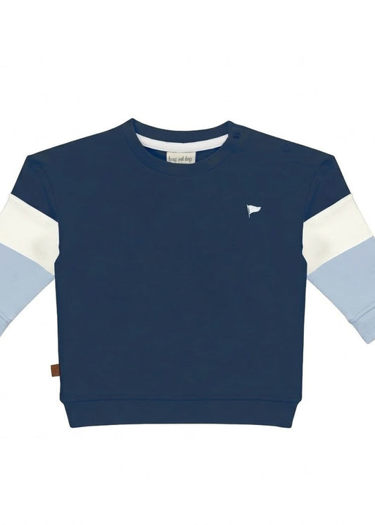 Frogs And Dogs Sweater Colorblock